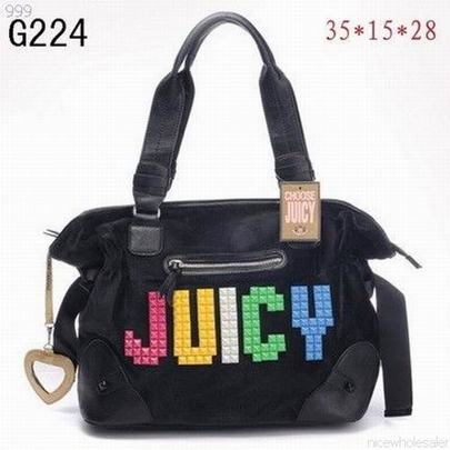juicy handbags213